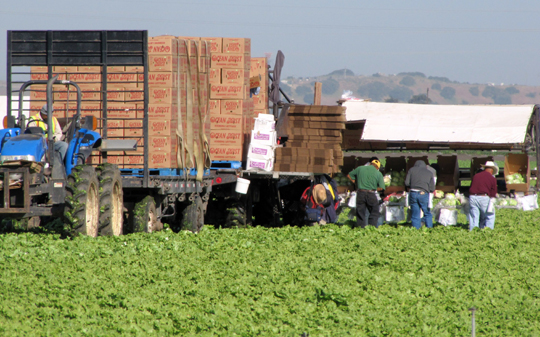 ag tours near me