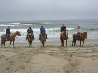 Beach horseback riding