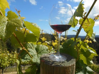 An Image Of A Wine Glass Sitting On A Post, Surrounded By A Vineyard.